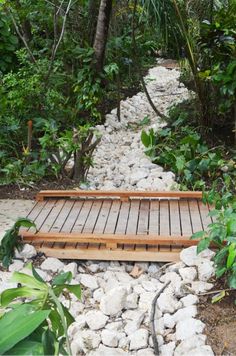 a wooden walkway in the middle of some rocks and greenery with lots of trees