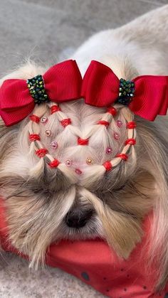 a small dog wearing a red headband with bows on it's ears and eyes