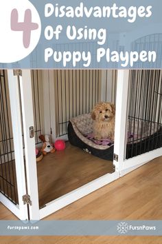 a dog sitting in its kennel with the words disavantages of using puppy playpen