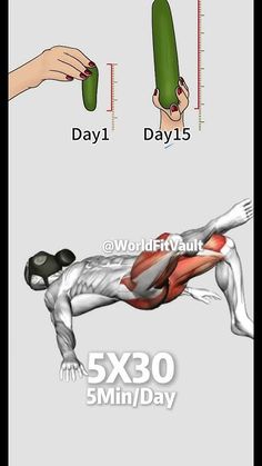 Relax Muscles, Biology Facts, Gym Workout Chart, Kegel Exercise, Pelvic Floor Muscles, Workout Chart, Muscle Relaxer, Pelvic Floor, Fitness Workout