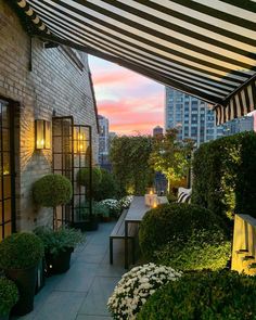 an outdoor patio with potted plants and lights