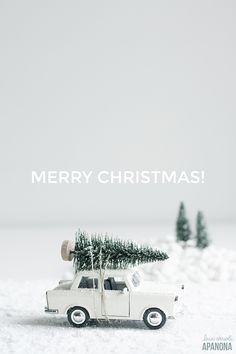 a white car with a christmas tree on top