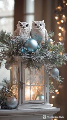 two owls sitting on top of a lantern surrounded by christmas decorations