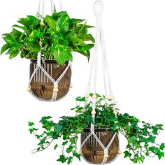 two hanging planters with plants in them, one is brown and the other is white