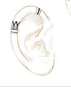 an ear is shown in this drawing