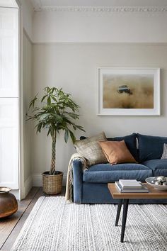 a living room filled with furniture and a potted plant on top of a table