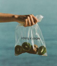 a person holding a plastic bag filled with kiwis on top of the ocean