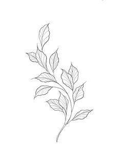 Leaf Tattoo Template, Tattoos Of Leaves, Philodendron Tattoo Leaves, Simple Leaf Tattoo Design, Vines And Leaves Tattoo, Tattoo Leaf Designs, Leaves Tattoo Drawing, Simple Leaves Tattoo