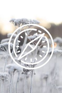 a field with snow on it and a compass in the middle