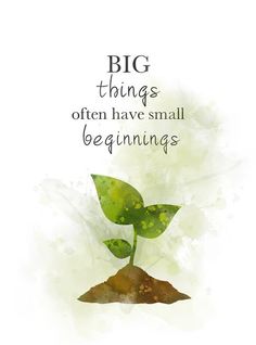 a green plant with the words, big things often have small beginnings