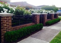 a brick fence with white flowers growing on it and some bushes in the front yard