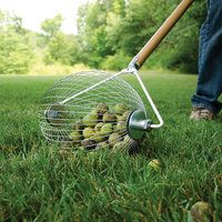 a person is holding a metal basket full of green potatoes while standing in the grass