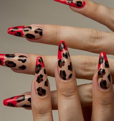 October Nail Designs Ideas: 25 Must-Try Looks for Fall - Fall Update 2024 Burgundy Animal Print Nails, Red Leopard Nails, October Nail Designs, Leopard Print Nail Art, Leopard Print Nail, Leopard Nail Designs, Print Nail Art, Tiger Nails, Cheetah Nail Designs