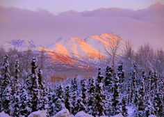 snow covered trees and mountains in the background at sunset with pink light from setting sun