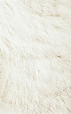 the fur is white and has many different colors