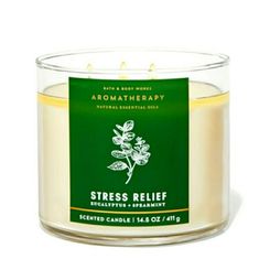 Aromatherapy Eucalyptus Spearmint 3-Wick Candle Eucalyptus Oil Clears The Mind. Spearmint Oils Soothes And Uplifts. Spearmint Essential Oil, Bath Body Works Candles, Bath And Body Work, Salalah, 3 Wick Candles, Designer Candles, Colorful Candles, Aromatherapy Candles, Natural Essential Oils