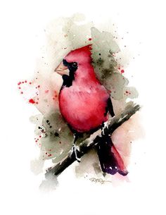 a watercolor painting of a red bird sitting on a branch