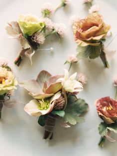 small flowers are arranged on a white plate