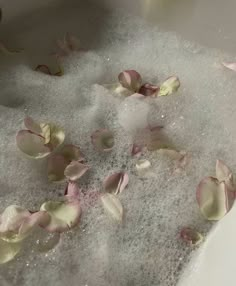 rose petals are floating in the bathtub full of water