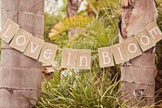 a sign that says love in bloom hanging between two palm trees with foliage around it