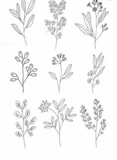 the different types of flowers are shown in this hand drawn drawing technique, which is easy to draw