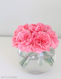 pink carnations are in a clear glass vase