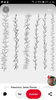 an iphone screen showing the different types of plants and leaves that are growing on it