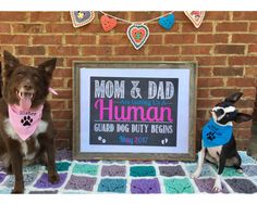 two dogs sitting next to a sign that says mom & dad and human club duty begins