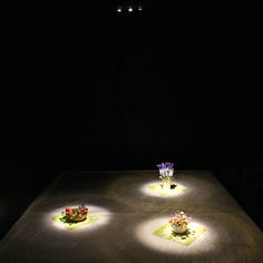 four flower arrangements lit up in the dark on a table with white lights around them