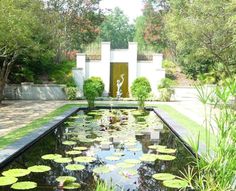 a pond with water lilies in the middle of it and a white building behind it