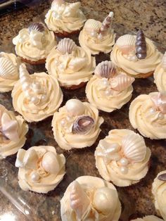 cupcakes with shells and seashells on them sitting on a counter top