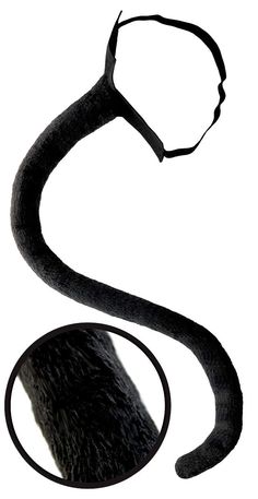 an animal's tail is shown in the shape of a snake with long, black hair