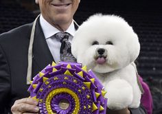 a white dog is being held by a man in a suit and tie at an event