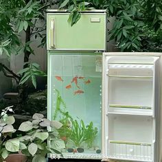 an open refrigerator sitting next to a potted plant and another fish in the water