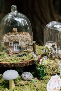 a table topped with glass cloches covered in moss next to a mushroom house