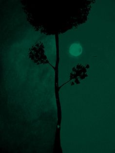 a lone tree is silhouetted against a green sky with the moon in the distance