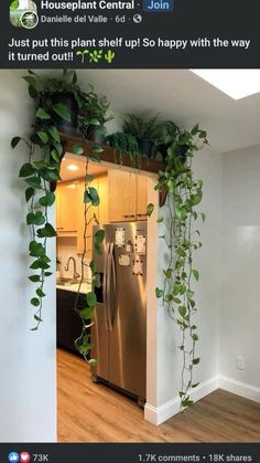 a refrigerator with plants growing on it in a kitchen next to a wall mounted planter