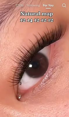 Eyelash Clusters Natural, Eyelash Extension On Hooded Eyes, Lash Map Natural Clusters, Last Cluster Map, Small Lash Map, Natural Lash Clusters Map, Natural Lashes Map, Lash Cluster Mapping Styles Doll Eye, Lash Map Short