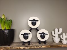 three black and white sheep sitting on top of a shelf next to cacti