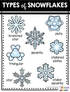 the types of snowflakes