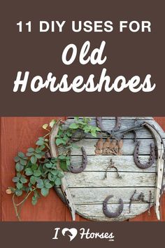 an old horse shoe with the words 11 diy uses for old horseshoes on it