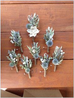 six succulents and flowers are arranged on a wooden table with a box