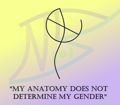 the words my anatomy does not determine my gender on a purple and yellow background with black lines