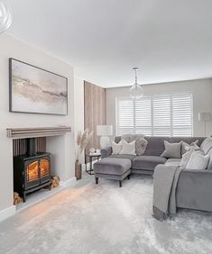 a living room filled with furniture and a fire place in front of a window on top of a carpeted floor