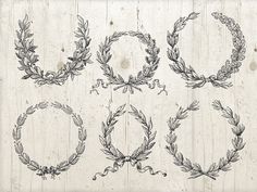 a set of six hand drawn wreaths on a white wooden background, each with different designs