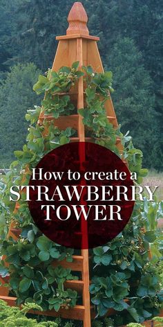 a wooden tower with plants growing in it and the words how to create a strawberry tower