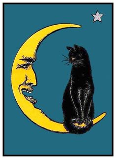 a black cat sitting on top of a crescent moon