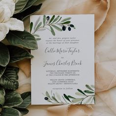 the wedding stationery is surrounded by greenery and white flowers, including an olive branch