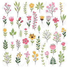 various flowers and leaves are arranged in rows on a white background, including pink, orange, yellow, green, and red