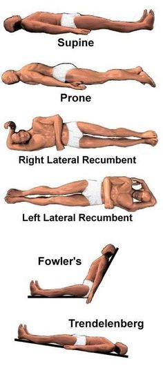 the right and left latrial recumbent exercises